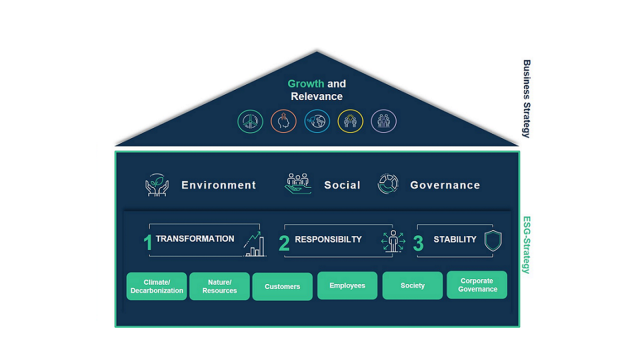 ESG Strategy 