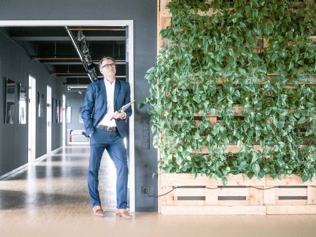 Man in front of office next to green wall 